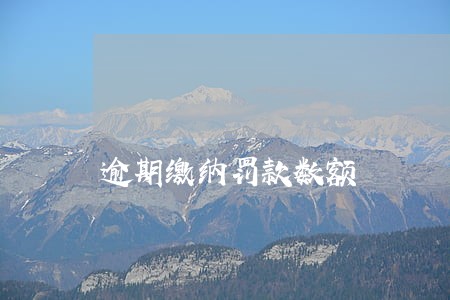 逾期缴纳罚款数额 逾期缴纳罚款数额