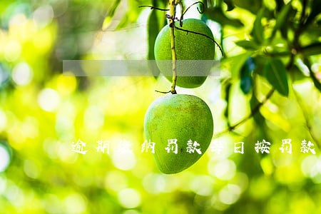 逾期缴纳罚款每日按罚款数额