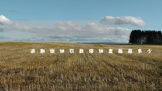 逾期缴纳罚款滞纳金最高多少 逾期缴纳罚款滞纳金最高多少