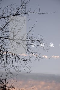 逾期缴纳罚款的处理 逾期缴纳罚款的处理