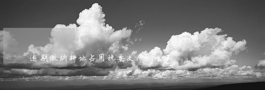 逾期缴纳耕地占用税要交滞纳金不 逾期缴纳耕地占用税要交滞纳金不