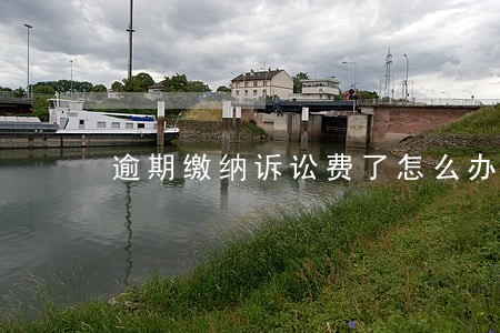 逾期缴纳诉讼费了怎么办 逾期缴纳诉讼费了怎么办