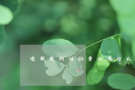逾期缴纳诉讼费会有什么结果 逾期缴纳诉讼费会有什么结果