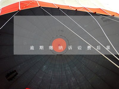 逾期缴纳诉讼费后果 逾期缴纳诉讼费后果