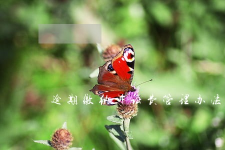 逾期缴纳诉讼费管理办法 逾期缴纳诉讼费管理办法