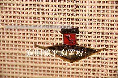逾期缴纳购置税 逾期缴纳购置税