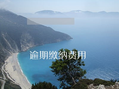 逾期缴纳费用 逾期缴纳费用