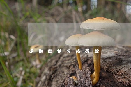 逾期缴纳车险罚款 逾期缴纳车险罚款
