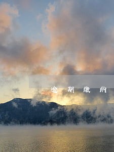 逾期缴纳还是逾期未缴纳 逾期缴纳还是逾期未缴纳