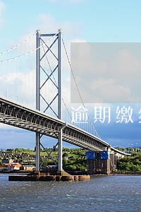逾期缴纳违约楼款 逾期缴纳违约楼款