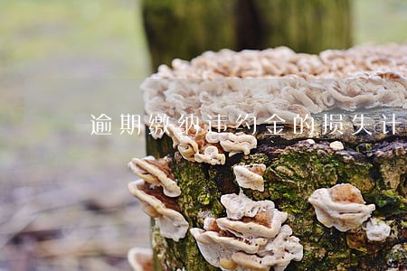 逾期缴纳违约金的损失计算 逾期缴纳违约金的损失计算
