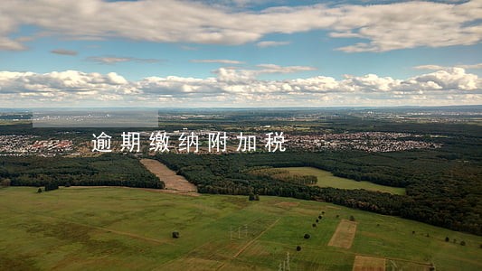 逾期缴纳附加税 逾期缴纳附加税
