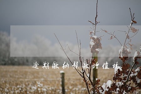 逾期缴纳预缴增值税 逾期缴纳预缴增值税