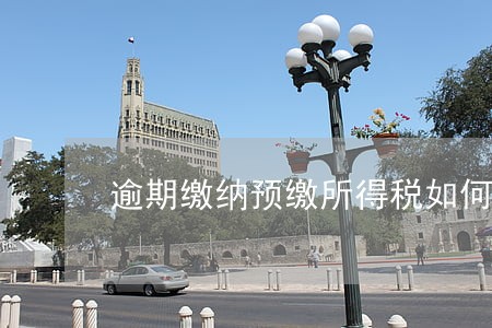 逾期缴纳预缴所得税如何处罚 逾期缴纳预缴所得税如何处罚