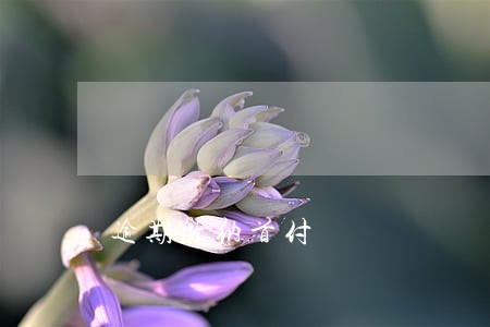 逾期缴纳首付 逾期缴纳首付