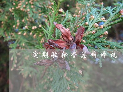 逾期缴纳香港薪俸税 逾期缴纳香港薪俸税