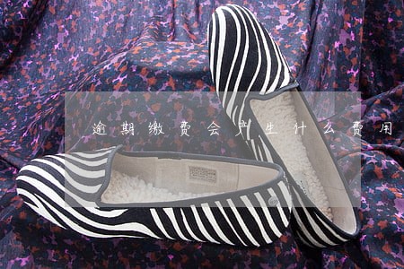 逾期缴费会产生什么费用