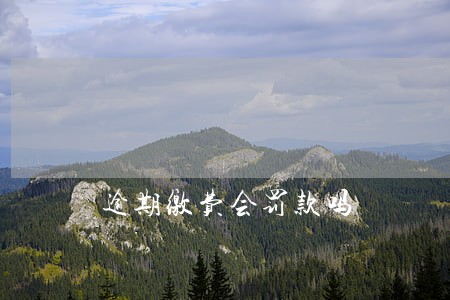 逾期缴费会罚款吗 逾期缴费会罚款吗