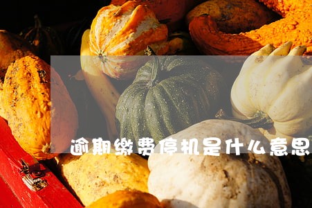 逾期缴费停机是什么意思 逾期缴费停机是什么意思