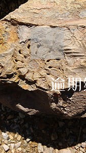 逾期缴费处罚录像 逾期缴费处罚录像