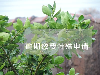 逾期缴费特殊申请 逾期缴费特殊申请