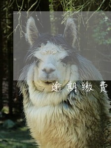 逾期缴费的处理方法 逾期缴费的处理方法