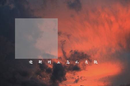 逾期网上怎么交款 逾期网上怎么交款