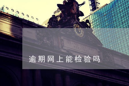 逾期网上能检验吗