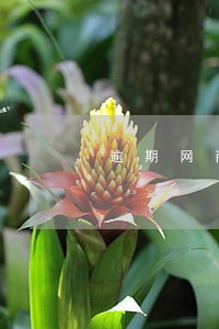 逾期网商贷的人有吗 逾期网商贷的人有吗