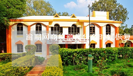 逾期网商贷额度什么时候恢复 逾期网商贷额度什么时候恢复