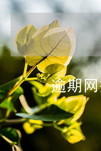 逾期网签要交违约金吗 逾期网签要交违约金吗