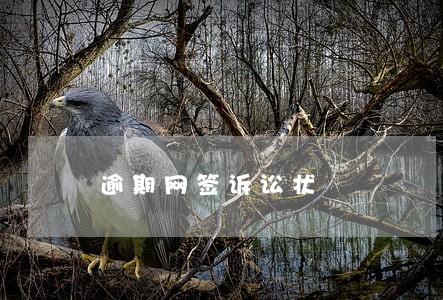 逾期网签诉讼状 逾期网签诉讼状