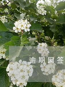 逾期网签违约金