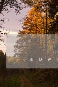 逾期网络仲裁案件 逾期网络仲裁案件