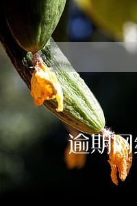 逾期网络公布在哪查询 逾期网络公布在哪查询