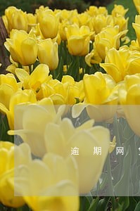 逾期网贷1个月后果 逾期网贷1个月后果