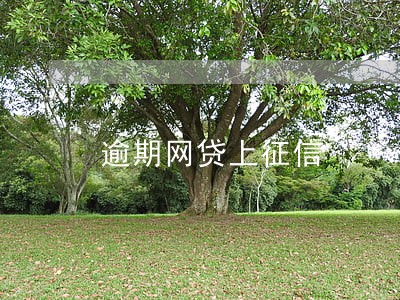 逾期网贷上征信 逾期网贷上征信