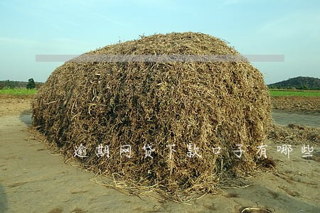 逾期网贷下款口子有哪些