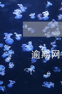 逾期网贷不同意协商 逾期网贷不同意协商