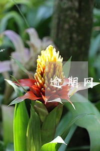 逾期网贷人员名单 逾期网贷人员名单