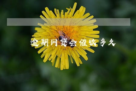逾期网贷会催收多久 逾期网贷会催收多久