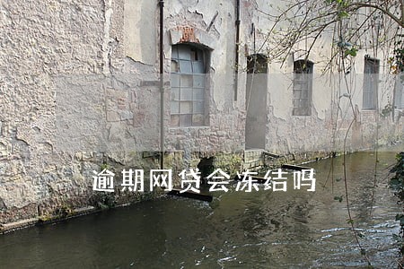 逾期网贷会冻结吗 逾期网贷会冻结吗