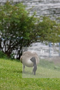 逾期网贷会发户籍地 逾期网贷会发户籍地