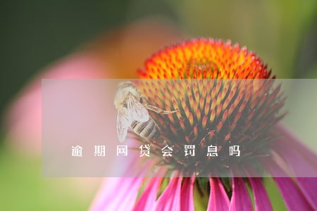 逾期网贷会罚息吗 逾期网贷会罚息吗