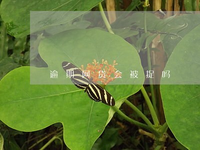 逾期网贷会被捉吗 逾期网贷会被捉吗