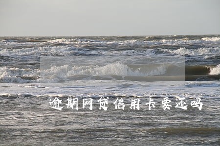 逾期网贷信用卡要还吗 逾期网贷信用卡要还吗