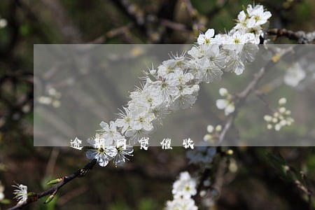 逾期网贷催收 逾期网贷催收