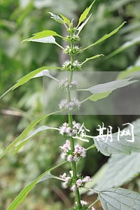 逾期网贷催收模板 逾期网贷催收模板
