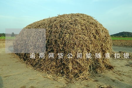 逾期网贷公司能随意扣银行卡钱 逾期网贷公司能随意扣银行卡钱
