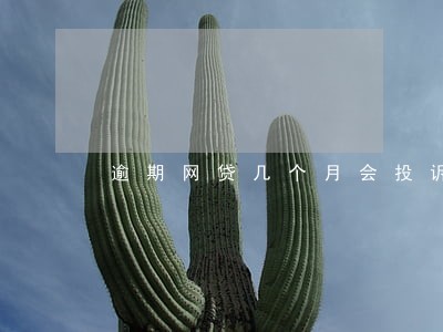 逾期网贷几个月会投诉 逾期网贷几个月会投诉